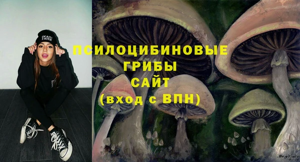 дживик Аркадак
