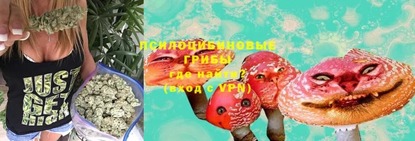 дживик Аркадак