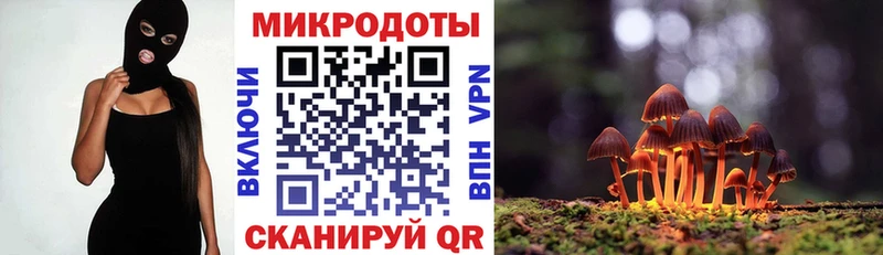 цены Сенгилей Псилоцибиновые грибы ЛСД
